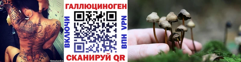 Галлюциногенные грибы Magic Shrooms  купить наркотики сайты  Чердынь 
